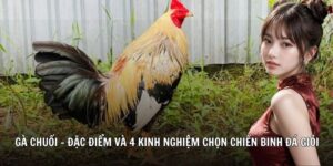 gà chuối 78wincomnet