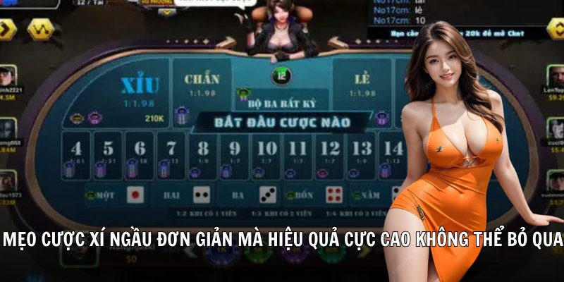 Mẹo cược xí ngầu đơn giản mà hiệu quả cực cao không thể bỏ qua