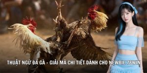 thuật ngữ đá gà 78wincomnet